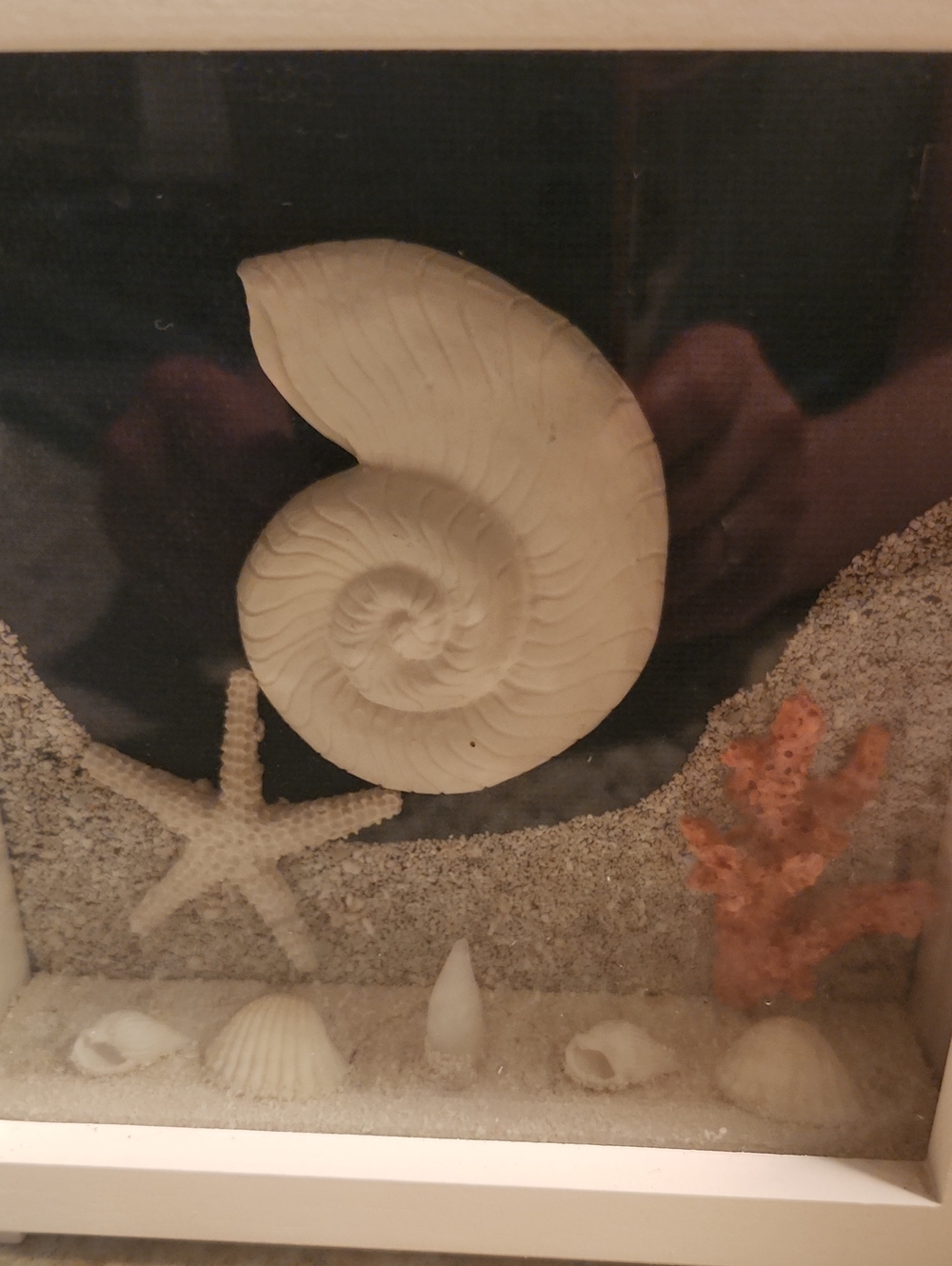 Coastal LED Light Up Seashell Shadow Boxes Set Of 3 - Picture 9 of 10